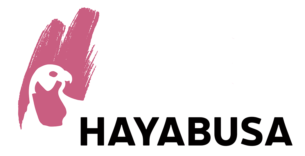Hayabusa Hayabusa